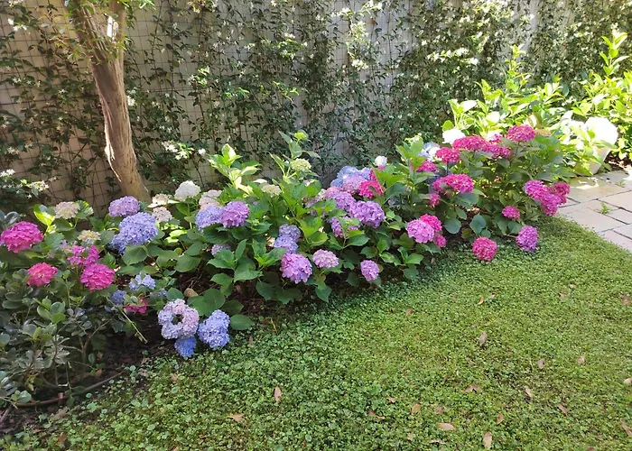 Il Dondolo Blu Florens