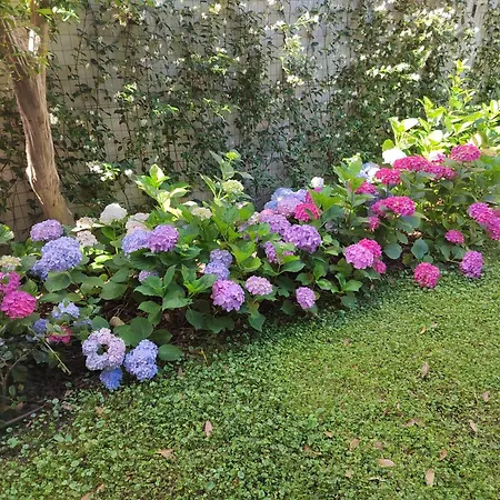 Il Dondolo Blu Флоренция